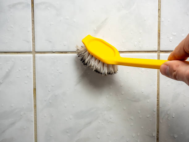 Best Mold Cleaning Services  in Slayton, MN