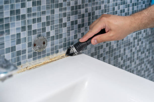 Professional Mold Removal in Slayton, MN