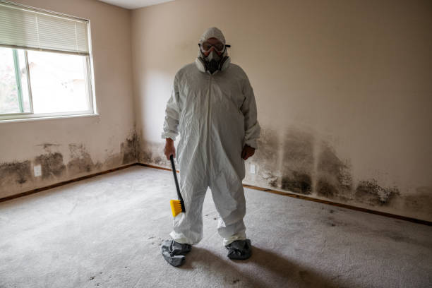 Crawl Space Mold Removal in Slayton, MN